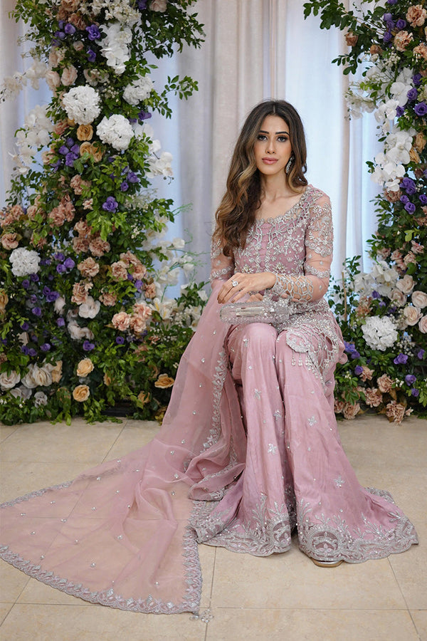 Rang Rasiya Organza Embroidered Unstitched 3PC SK-2420 - alternate view